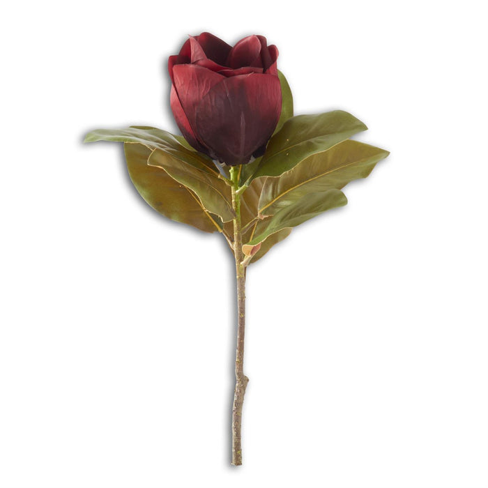 Burgundy Magnolia Stem