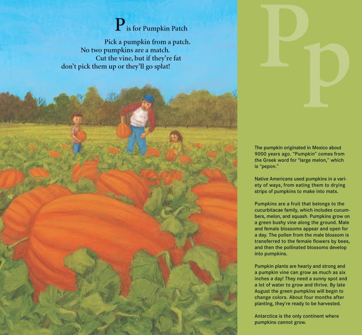 J is for Jack-O-Lantern: A Halloween Alphabet Picture Book
