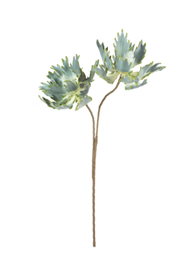 Botanica #2541