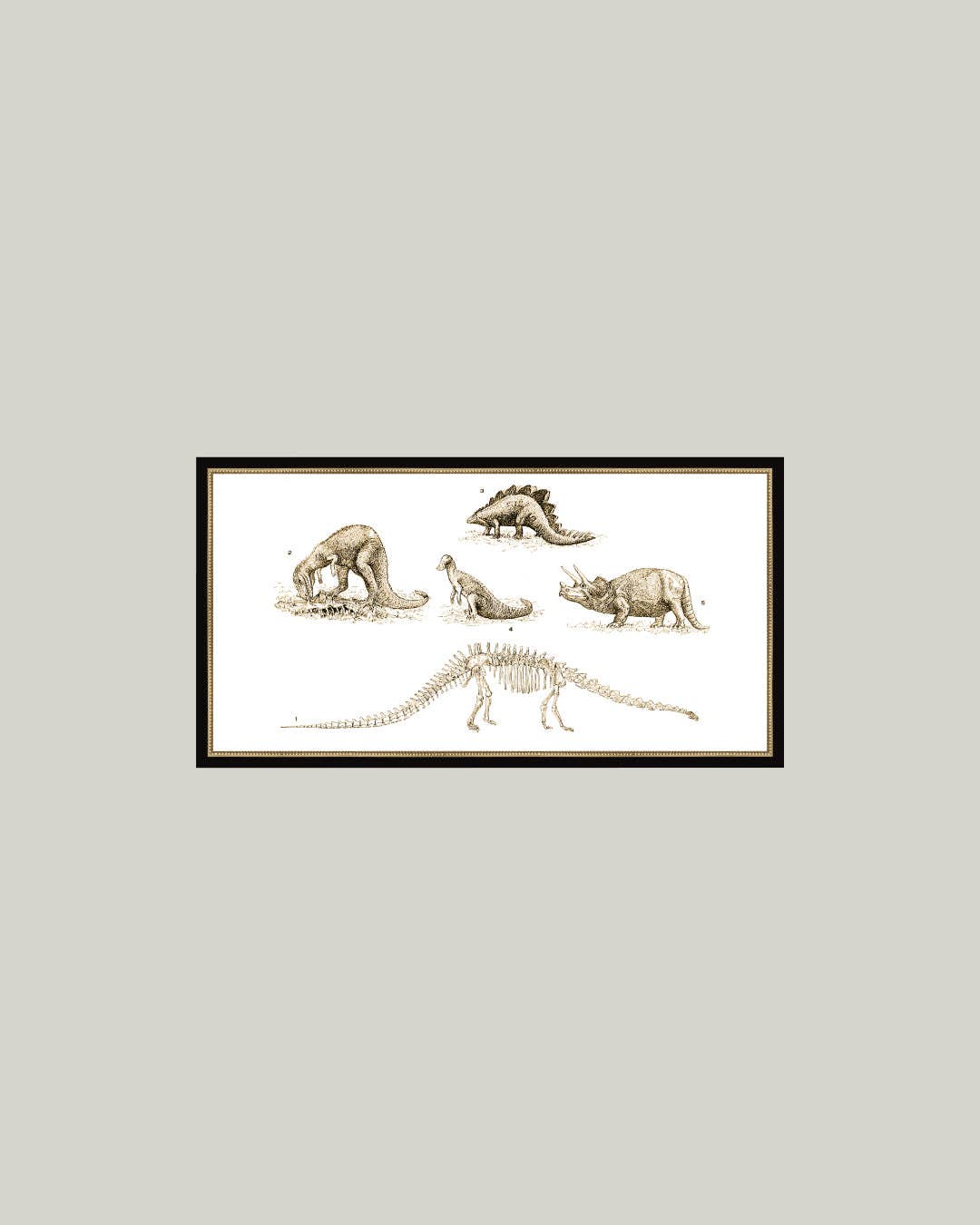 Dinosaur Discoveries Framed Antique Art