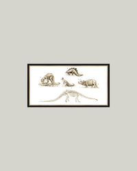 Dinosaur Discoveries Framed Antique Art