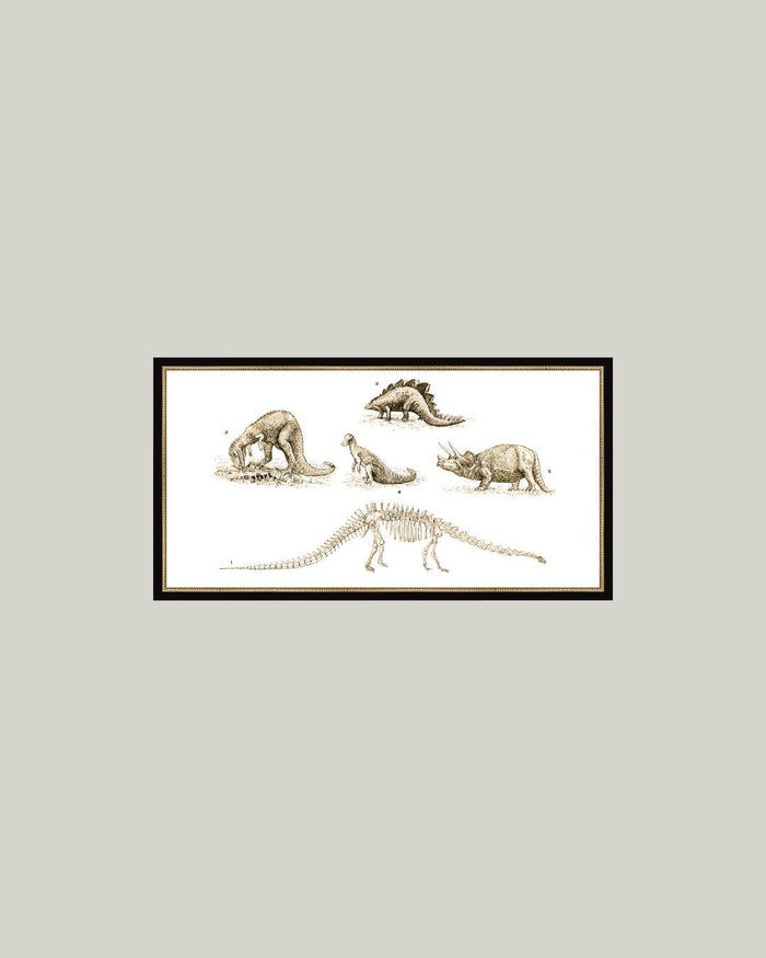 Dinosaur Discoveries Framed Antique Art