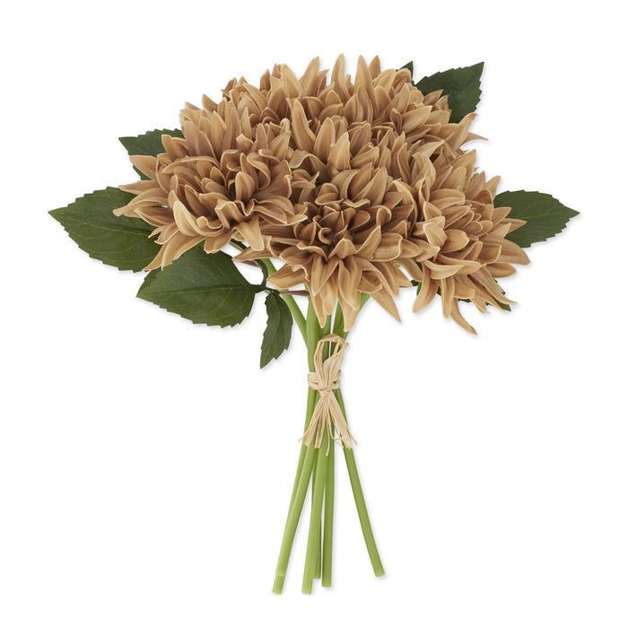 Brown Dahlia Bundle