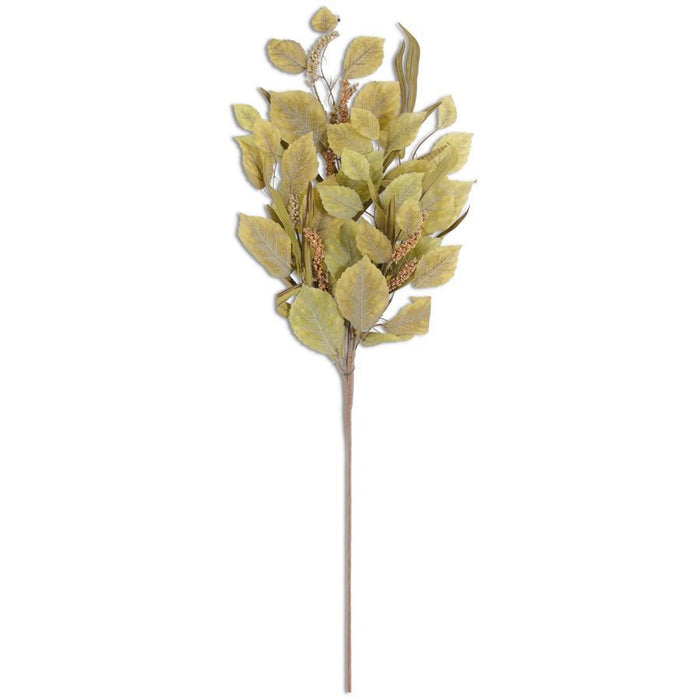 Green Birch Leaves Stem