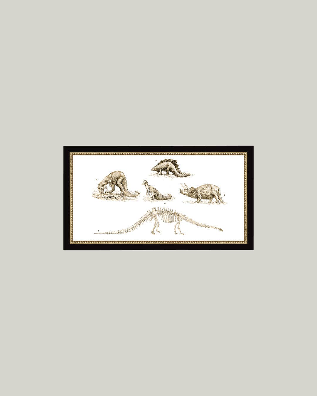 Dinosaur Discoveries Framed Antique Art