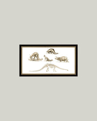 Dinosaur Discoveries Framed Antique Art