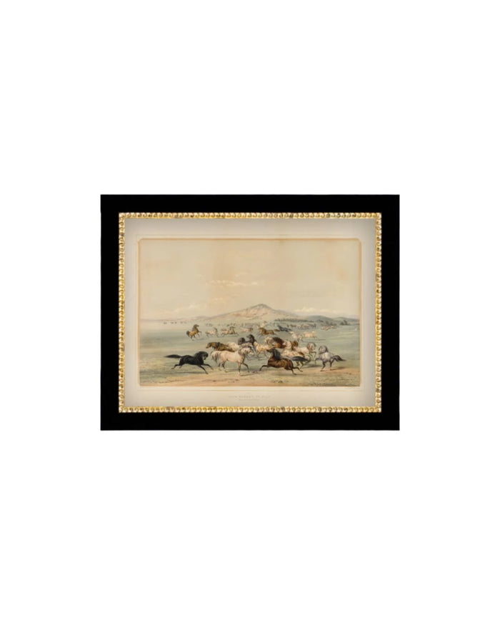 Field Of Horses Framed Antique Art - 9x7