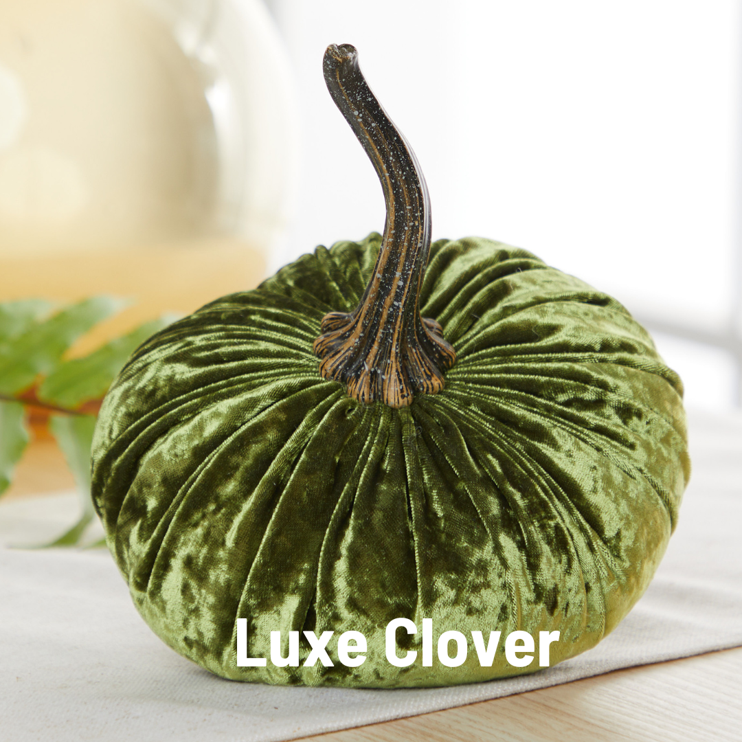 Large Velvet Pumpkins