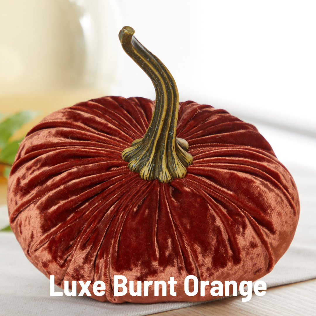 Large Velvet Pumpkins