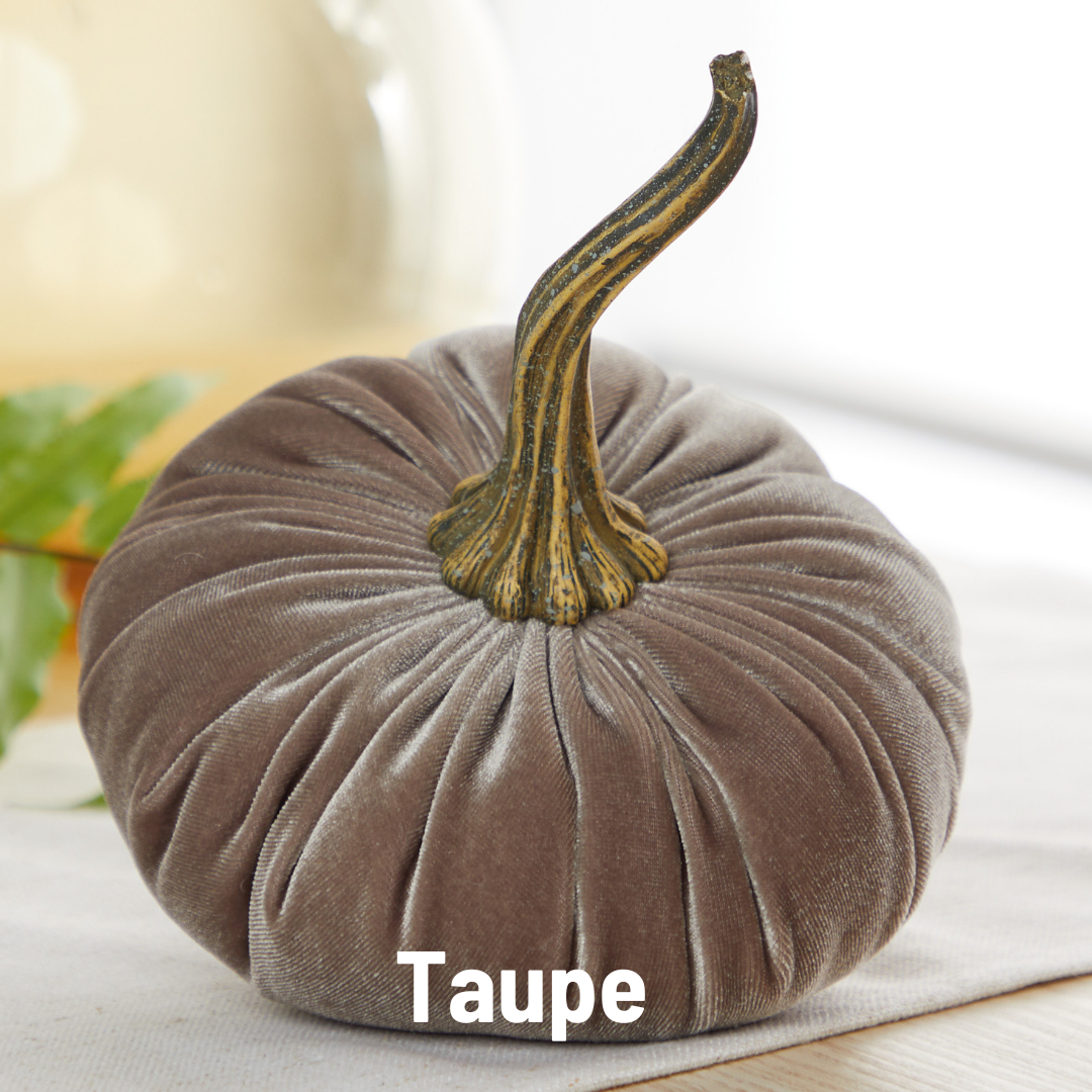 Large Velvet Pumpkins