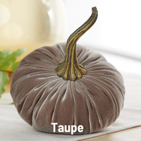 Large Velvet Pumpkins
