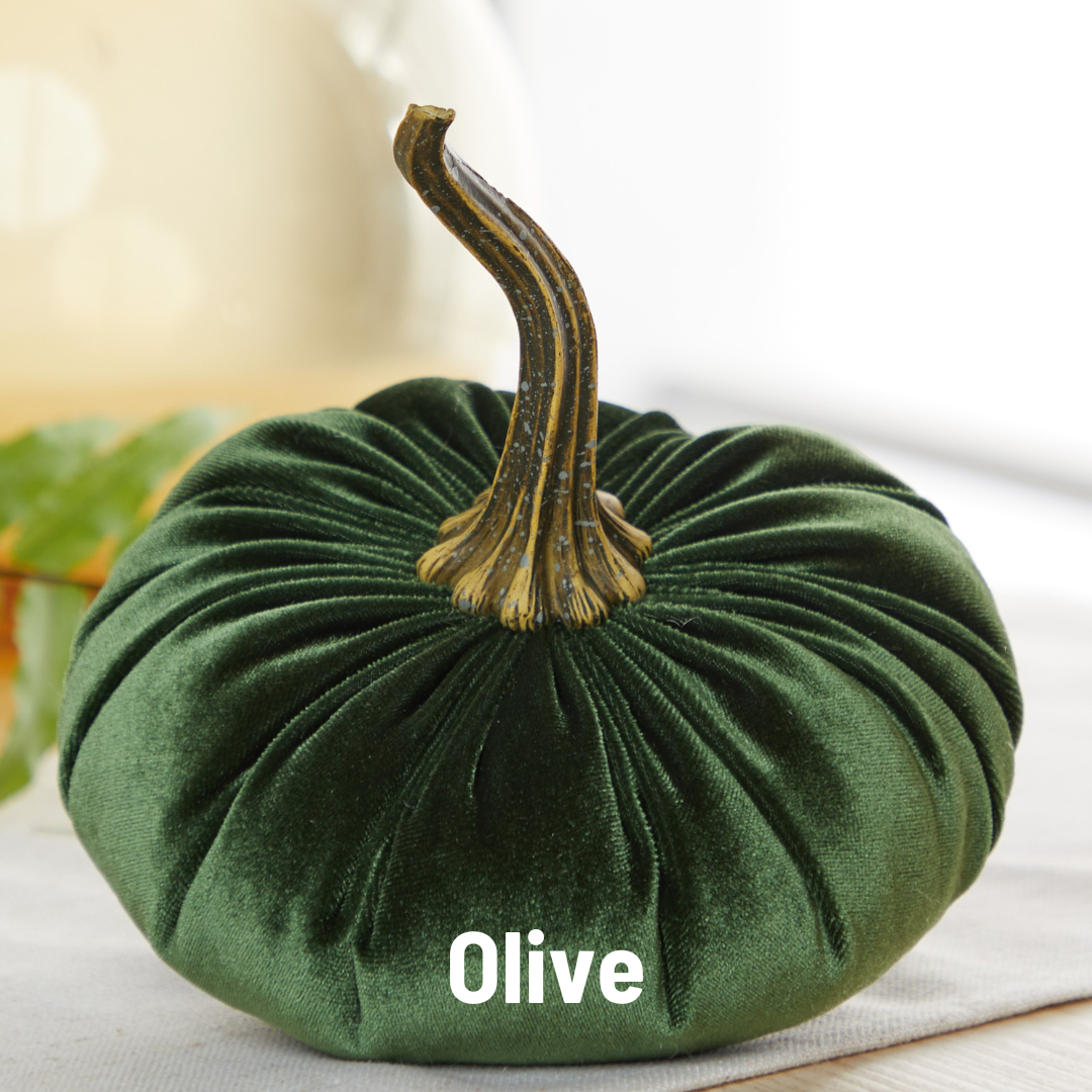 Large Velvet Pumpkins