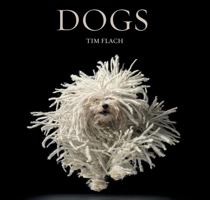 Dogs By Flach