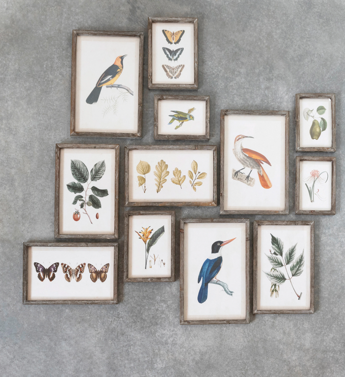 Wood Framed Glass Wall Décor with Insects, Birds, Plants and Fruit