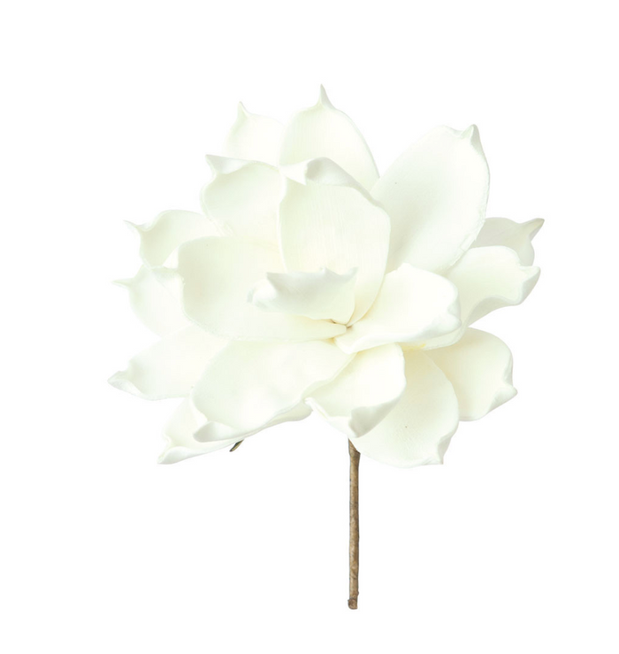 White Bloom Botanica