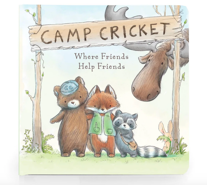 Camp Cricket board Book