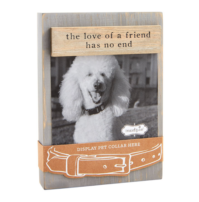 Gray Dog Collar Keepsake Frame