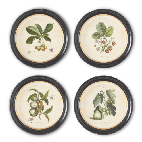 Black Round Framed Fruit Prints - 15.75"