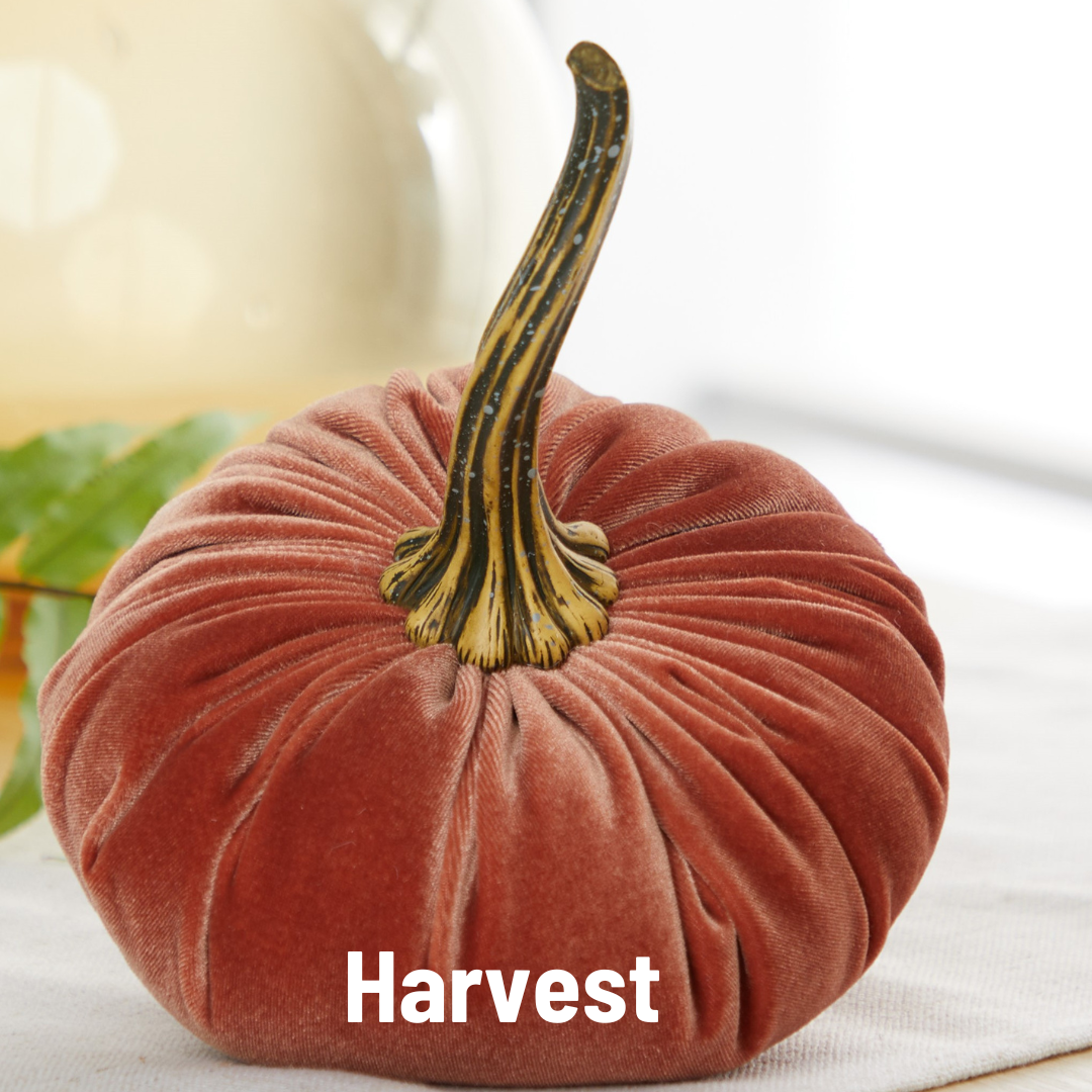 Large Velvet Pumpkins