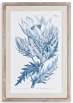 Indigo Protea Prints