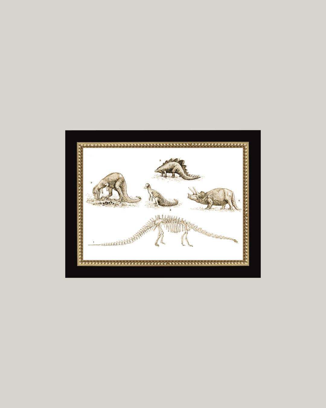 Dinosaur Discoveries Framed Antique Art