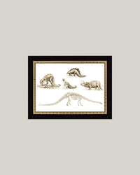 Dinosaur Discoveries Framed Antique Art