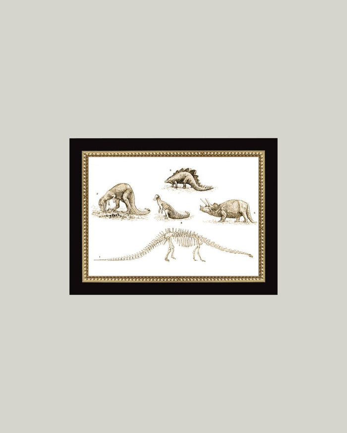 Dinosaur Discoveries Framed Antique Art