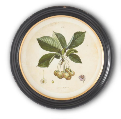 Black Round Framed Fruit Prints - 15.75"