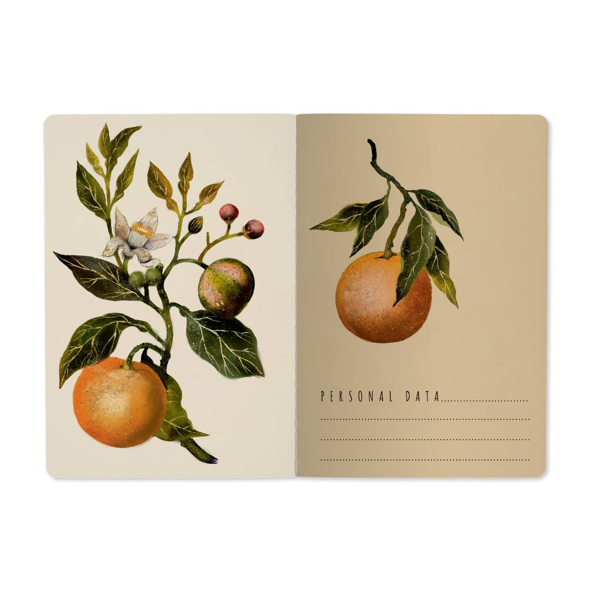 Notebook - Oranges and Blossoms 