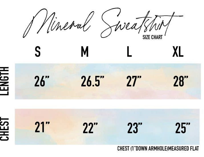 USA EST.1776 Mineral Graphic Sweatshirt