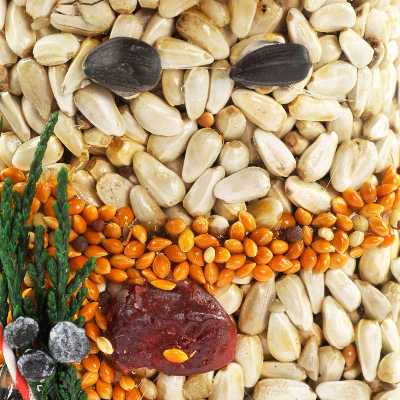 Christmas Bird Seed Shaped Ornaments - 4"