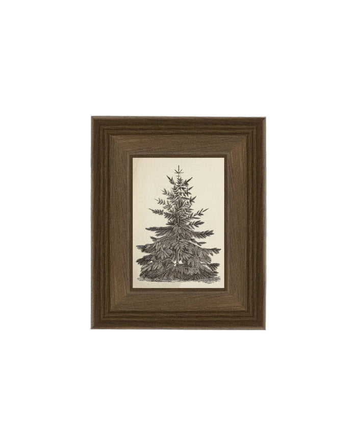 Vintage Pine Tree - 8 x 10
