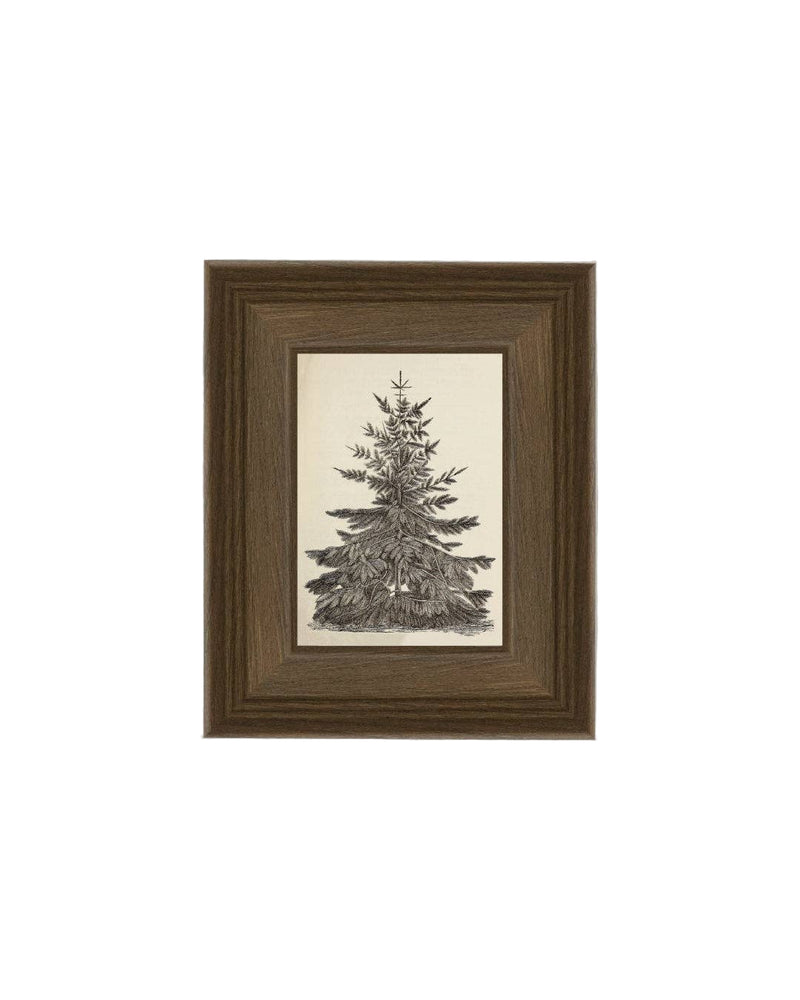 Vintage Pine Tree - 8 x 10