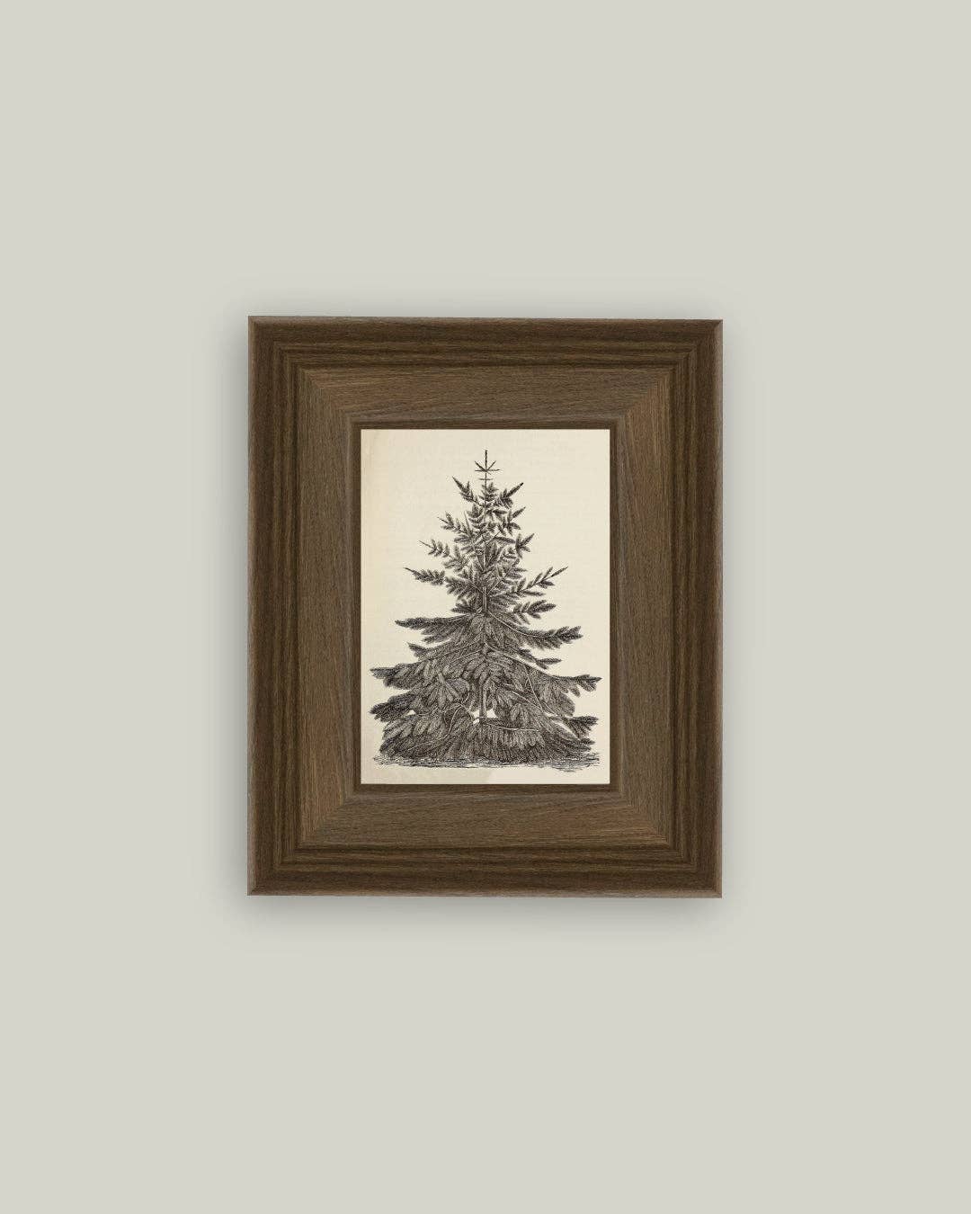 Vintage Pine Tree Framed Antique Art - 5x7