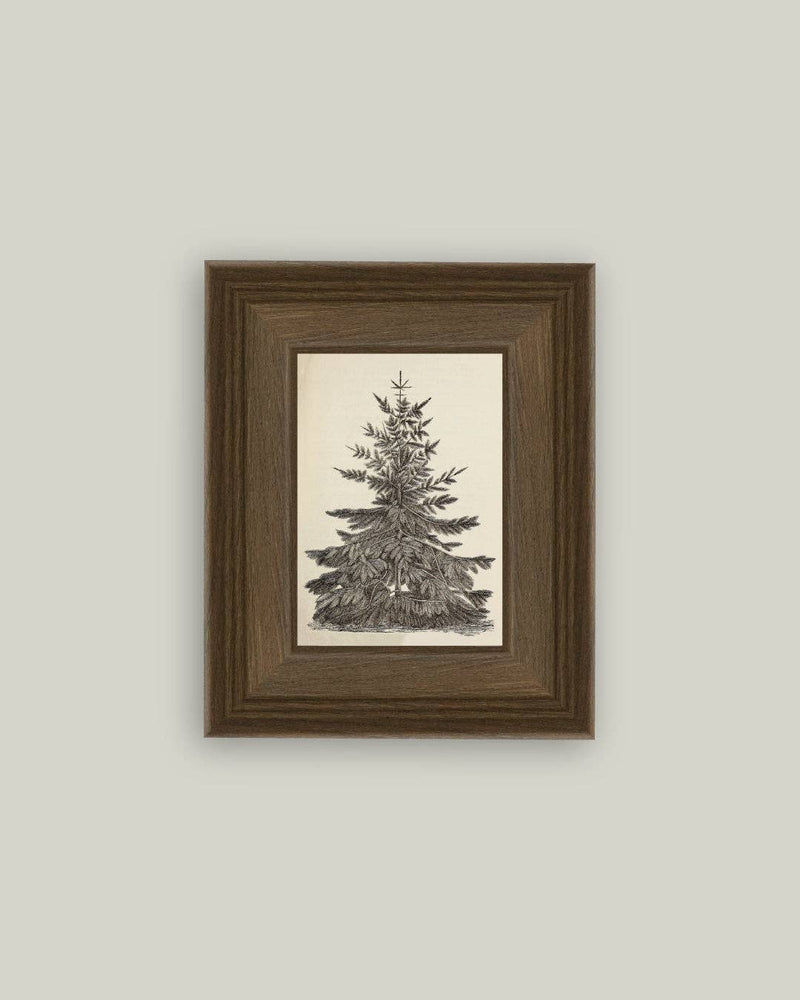 Vintage Pine Tree Framed Antique Art - 5x7