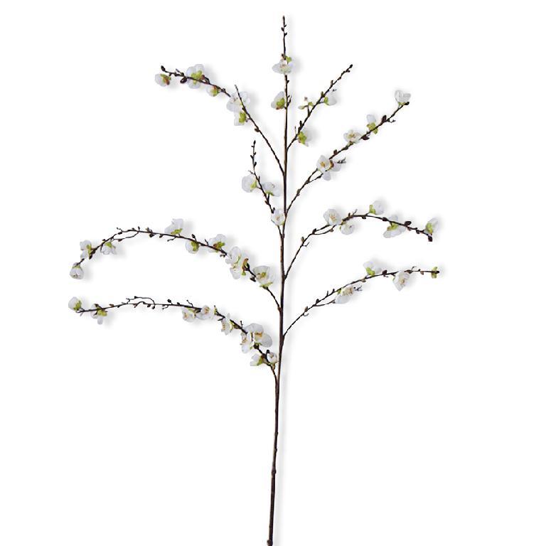 White Cherry Blossom Stem - 50 Inch