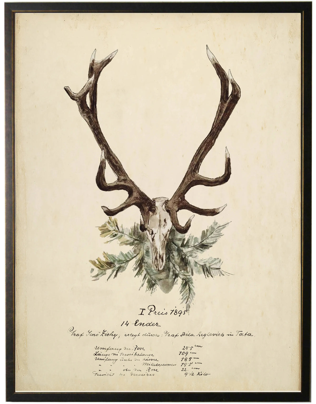 Vintage Antler Bookplate w/Greenery - 16x20