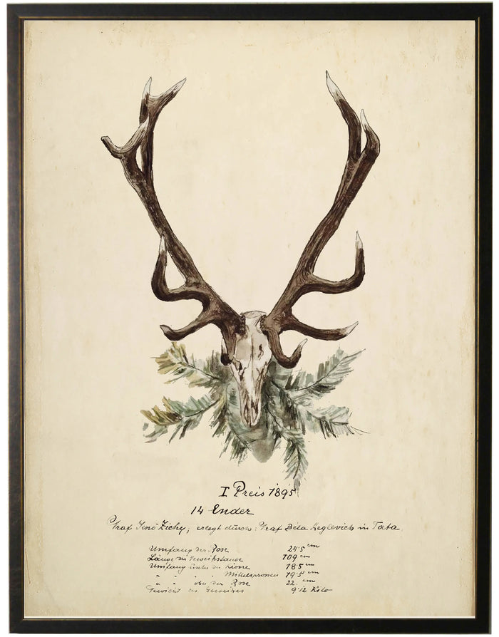 Vintage Antler Bookplate w/Greenery - 16x20
