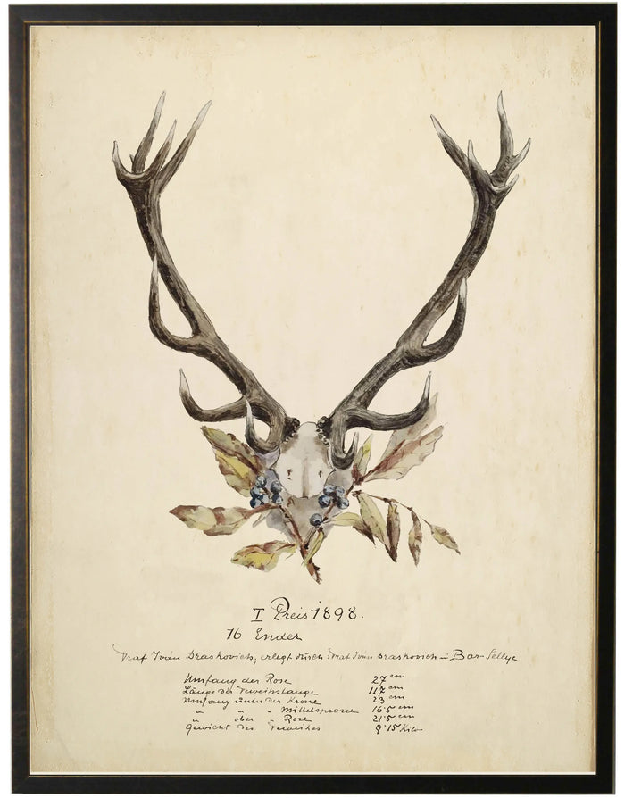 Vintage Antler Bookplate on Tartan (1) - 16x20