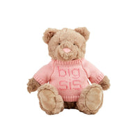 Big & Little Sister Plush Bears