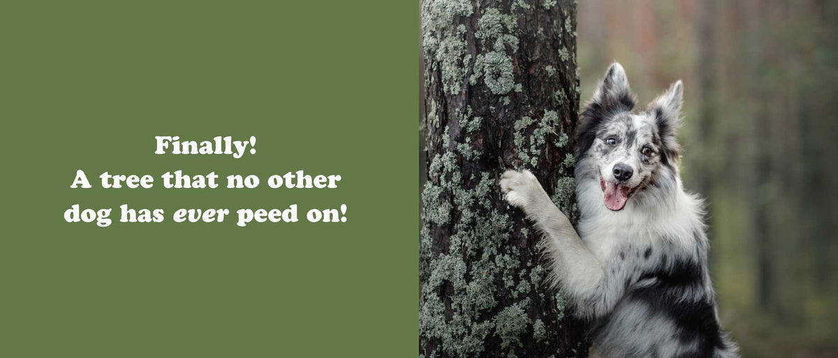 Secret Thoughts of Dogs