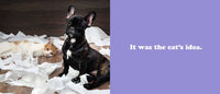 Secret Thoughts of Dogs