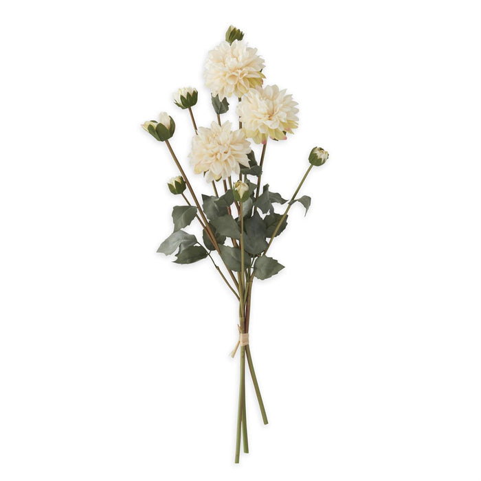 Cream Faux Dried Dahlia Bundle - 3 stems