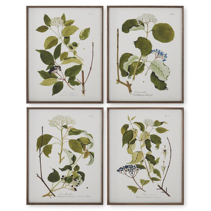 Dark Wood Framed White & Green Botanical Prints - 27.5"