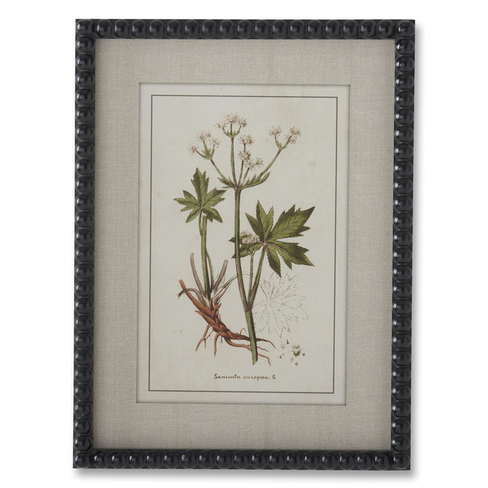 Black Bead Trim Framed Green & White Botanical