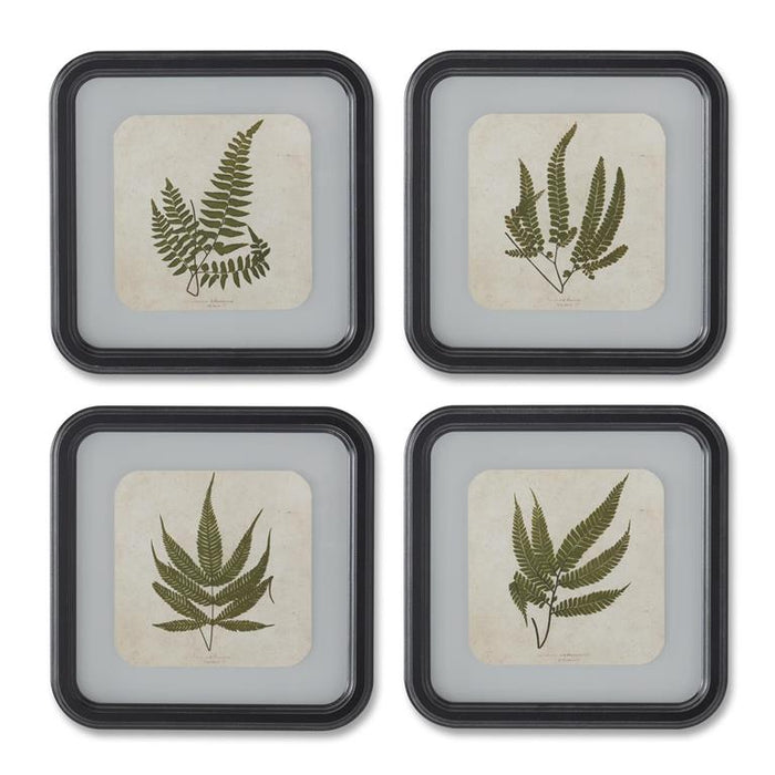 Black Wood Rounded Framed Fern Prints
