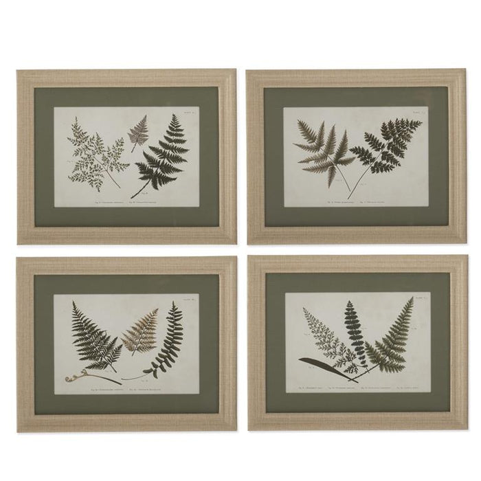 Burlap Wrapped Wood Framed Fern Prints
