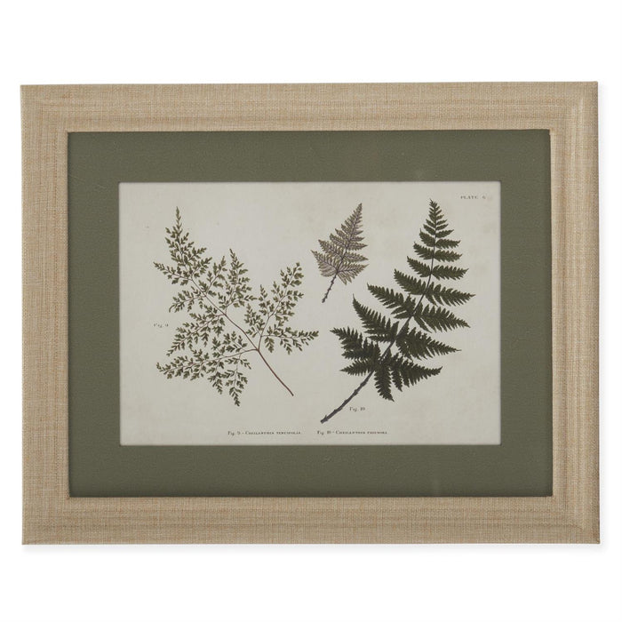 Burlap Wrapped Wood Framed Fern Prints
