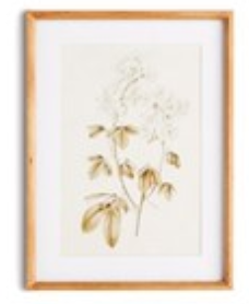 Fleur De Blanc Prints