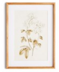 Fleur De Blanc Prints